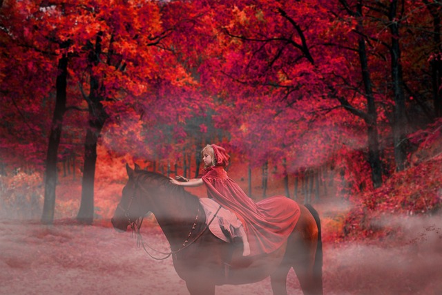 Rüyada Odun Görmek Rüyada Odun Görmek