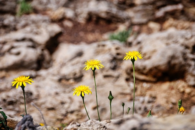 Rüyada Ölüp Tekrar Dirilmek
