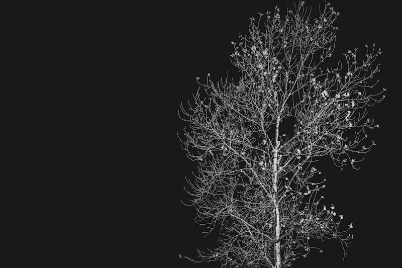 Rüyada Uçan Halıya Binmek Rüyada Uçan Halıya Binmek