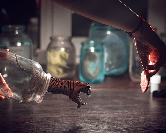 Rüyada Yüksekten İnmeye Çalışmak